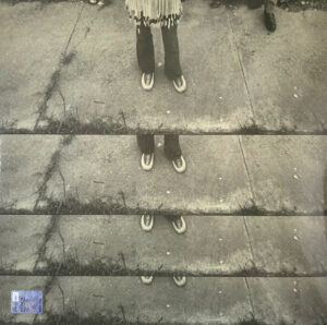 Cher - 3614 Jackson Highway Clear and Purple Mixed Colour