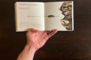 Intelektulení - Vítězslav Bečka