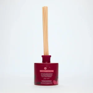 Difuzér CORIANDER SEED, GERANIUM & VETIVER 200ml