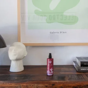 Osvěžovač vzduchu CORIANDER SEED, GERANIUM & VETIVER 100ml